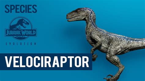 Velociraptor Species Profile Jurassic World Evolution Youtube