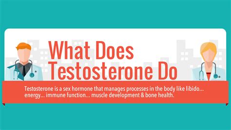 Role Of Testosterone In Your Body Infographic