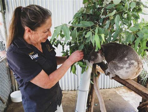Veterinary Assistant Job Description - Additionally, veterinary