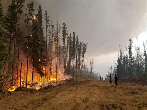 Bc wildfire service (bcws) is the wildfire suppression service of the canadian province of british columbia. Wildfire and Carbon: Increasing the resilience of BC's ...