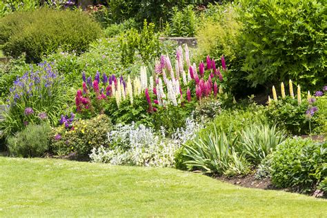 Small Border Planting Ideas With High Impact Thompson And Morgan Blog