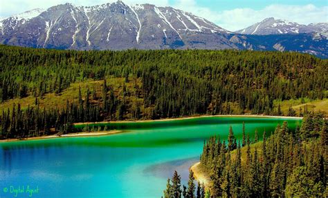 Emerald Lake In The Yukon Magical Places Emerald Lake Beautiful Lakes