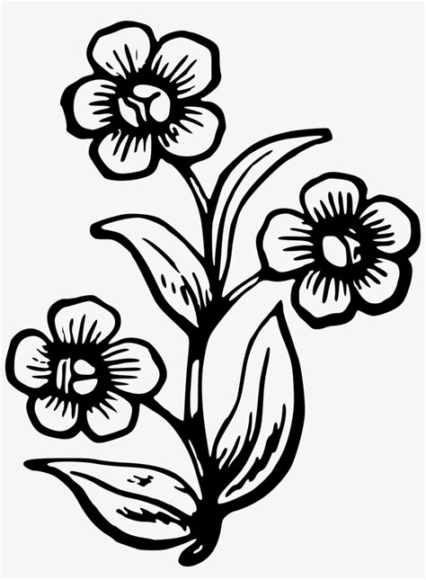 Pretty Flower Pictures To Draw How To Draw Flowers Drawing Tutorials