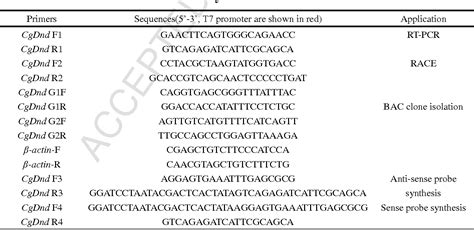Table 1 From Molecular Characterization And Expression Pattern Of A Germ Cell Marker Gene Dnd In
