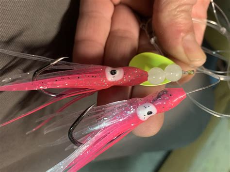 Double Rigged Flounderfluke Rigs The Hull Truth Boating And