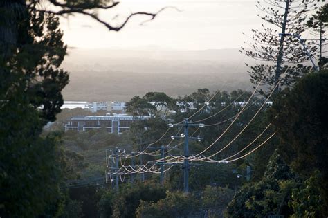 Free Image Of Power Lines Looping Down Through Trees Freebiephotography