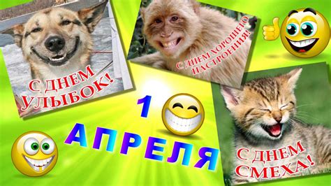 Коллекция прикольных открыток с первым апреля, скачивайте бесплатно. С 1 апреля! Прикольные шуточные пожелания. - YouTube
