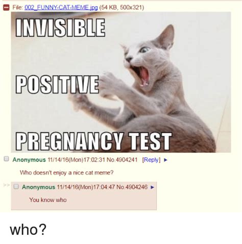 25 Best Memes About Positive Pregnancy Test Positive Pregnancy Test