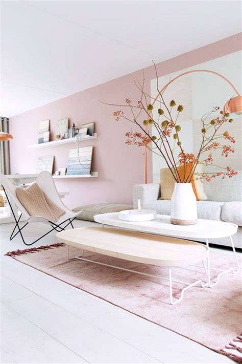 Nude Theme For Living Room Decoration Homemypedia