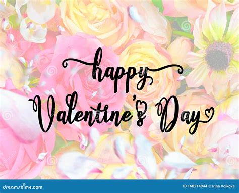 Happy Valentine Day Wishes Background Copy Space Pink Yeelow Roses