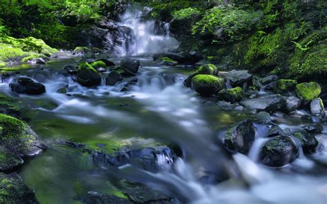 Kirkton Glen Waterfall In Balquhidder Scotland Forest Stream River Rock