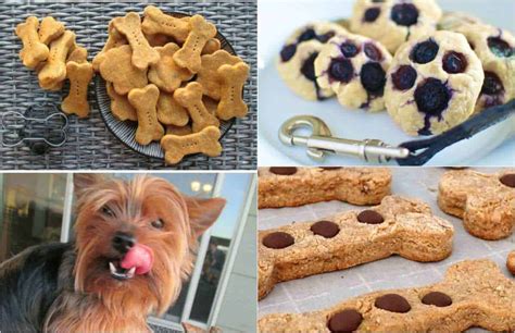 20 Homemade Dog Treats Your Dog Will Love · The Inspiration Edit