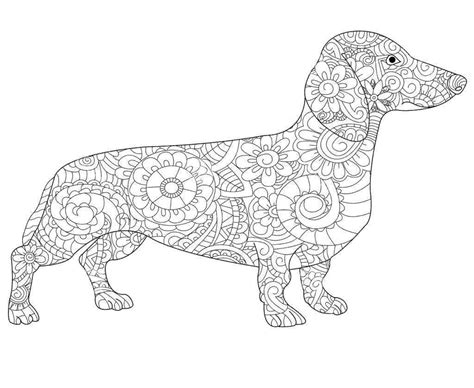 Coloring Page With Dachshund Dog Colouring Book For Kids