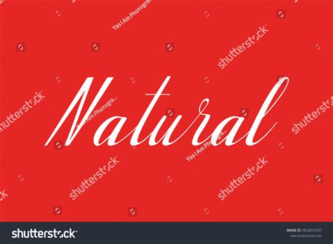 Natural Cursive Typography White Color Text Stock Vector Royalty Free