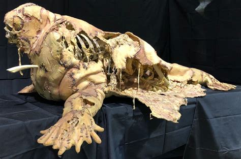 Его друг вместе с девушкой уоллеса отправляется на поиски. Tusk (2014) - Screen Used Dead Walrus Prop