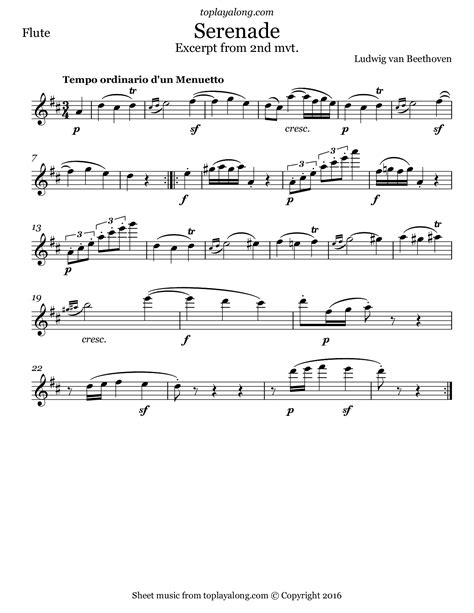 Beethoven Flauta Transversal