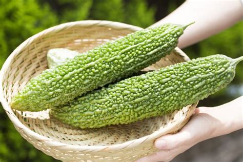 People who are suffering from diabetes should regularly consume karela juice for best. bitter gourd benefits Archives | Biophytopharm