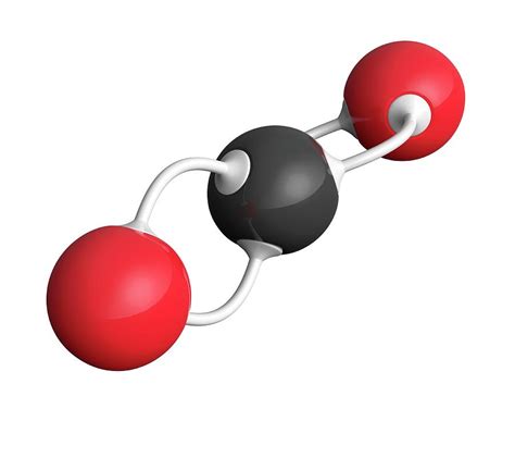 Co2 Molecule Model
