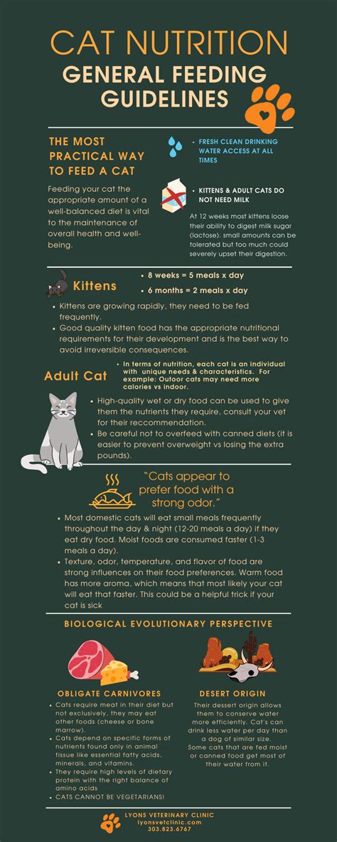 Cat Nutrition Lyons Veterinary Clinic