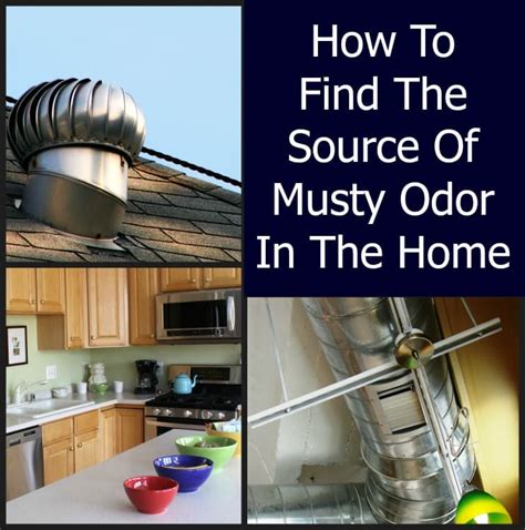 But one problem i came across was the guest bathroom in the home smelled like mildew. Musty Odor in a Home