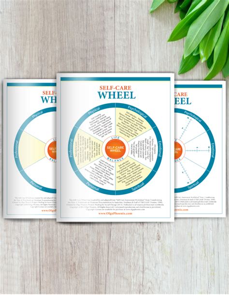 Classic Self Care Wheel Images Bundle Olga Phoenix