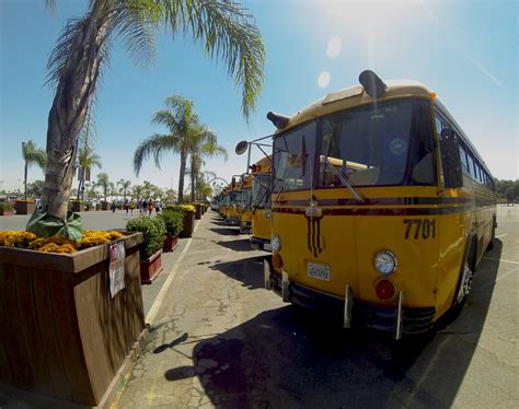 Row Of Yellow School Buses Free Stock Photo Public Domain Pictures