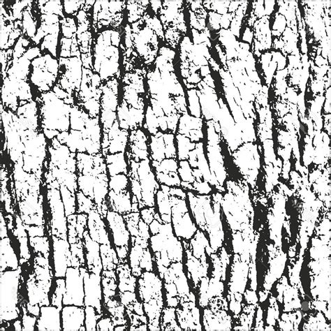 Tree Texture Drawing Easy Tree Bark Texture Drawing Vector Drawings