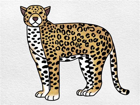 Jaguar Drawing Helloartsy