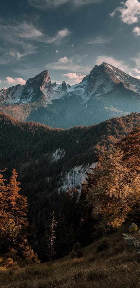 1440x2960 Forest Mountains Samsung Galaxy Note 98 S9s8s8 Qhd Hd