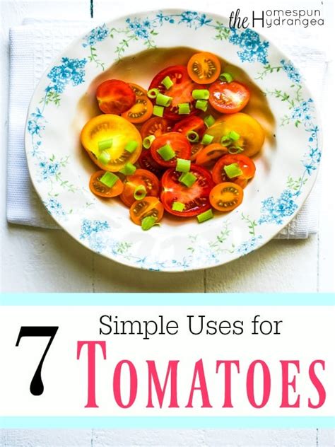 7 Creative Ways To Use Tomatoes The Homespun Hydrangea