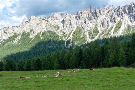 Mountain Landscape Of The Italian Dolomites Stock Photo Image Of Park