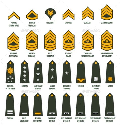 Usa Army Enlisted Ranks Chevrons With Insignia By Vectortradition