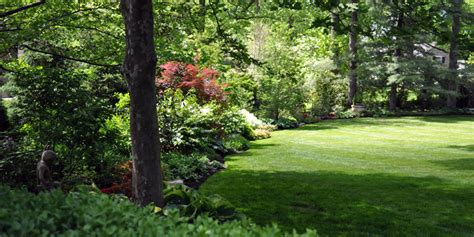 Incredible Backyard Property Line Landscaping Ideas 2022