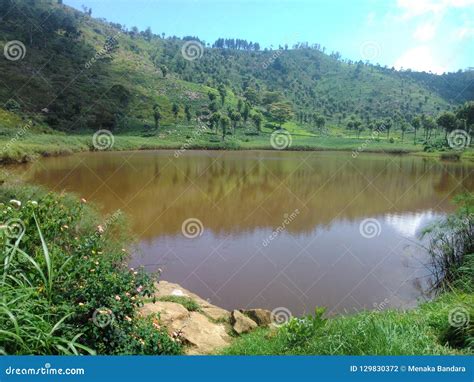 This Image Is Lake Of Sri Lanka Stock Photo Image Of Bridge Real