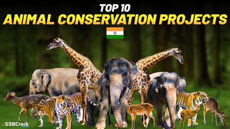 Top 10 Animal Conservation Projects In India Must Watch