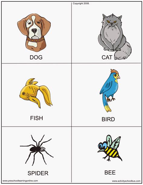 Animal Flashcards For Kids Preschool Learning Online