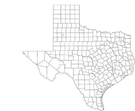 Blank Texas City Map Free Download