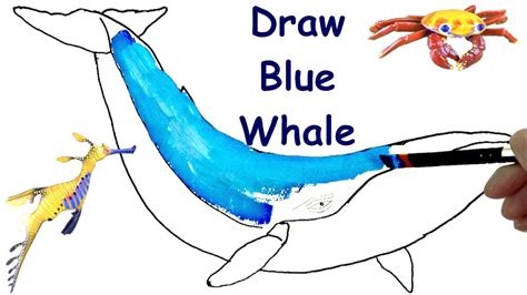 Https://tommynaija.com/draw/how To Draw A Blue Whae