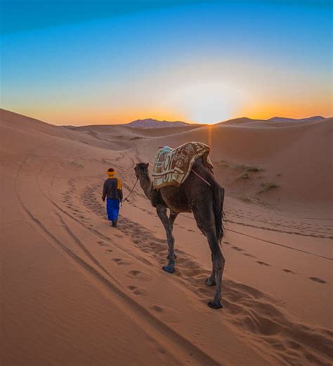 Morocco Lifetime Tours 2 Days Trip From Marrakech To Zagora Desert