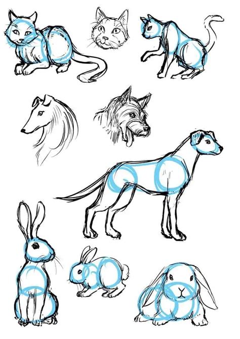Easy Animal Sketches To Draw Lvandcola