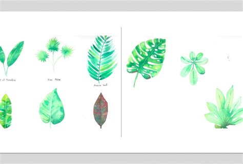 Tropical Leaves Skillshare Student Project