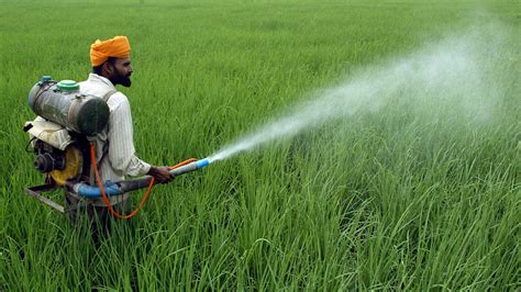 Scientists Develop A Gel To Protect Indian Farmers From Toxic Pesticide