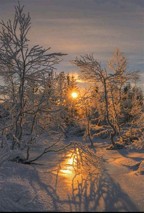 Winter Sunrise In Norway Vackra Bilder Fantastisk Natur Solnedgångar