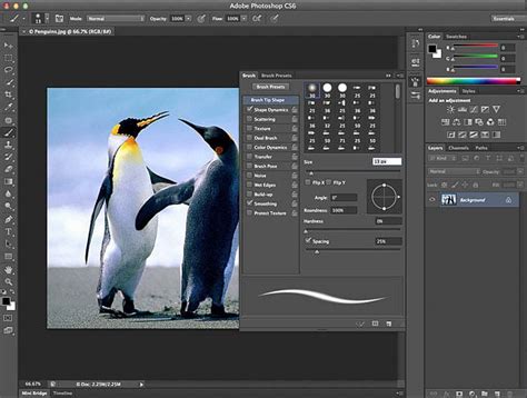 It was originally created in 1988 by thomas and john knoll. Adobe Photoshop CC 2019 Free Window 7,8,10