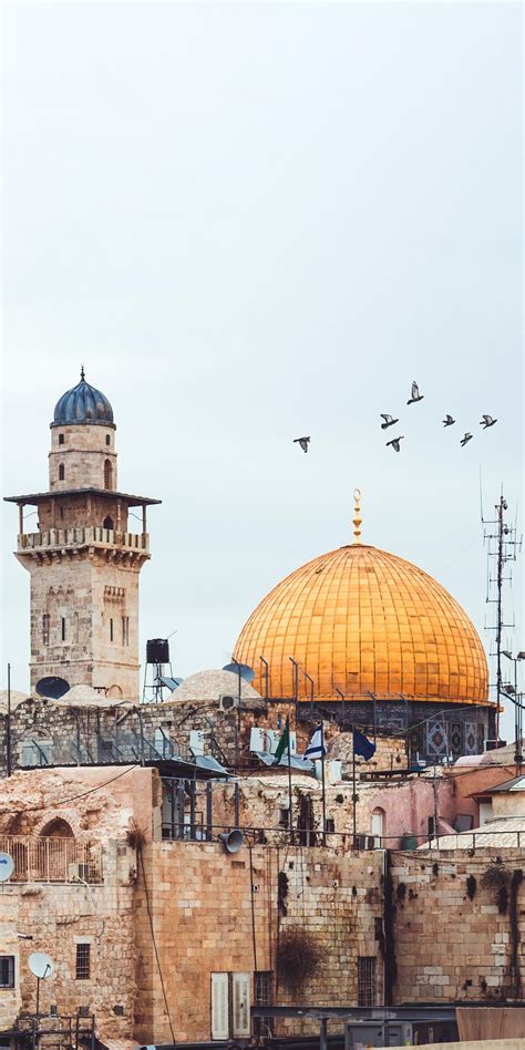 Al aqsa mosque hd wallpaper مساجد in 2019 pinterest mosque. Masjid Al-Aqsa HD Wallpaper, 2020 (Görüntüler ile) | Mekke ...