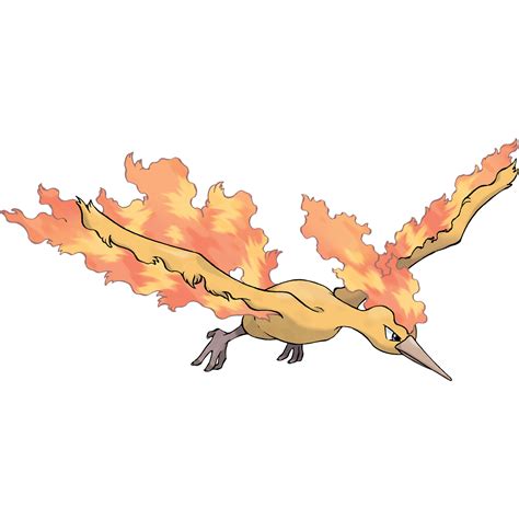 Moltres Poképédia Fandom Powered By Wikia