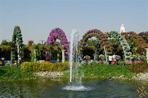 Dubai Miracle Garden: A flower paradise - Passion for Dubai