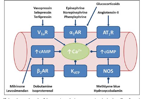 Figure 1 From Vasopressor And Inotrope Therapy In Cardiac Critical Care