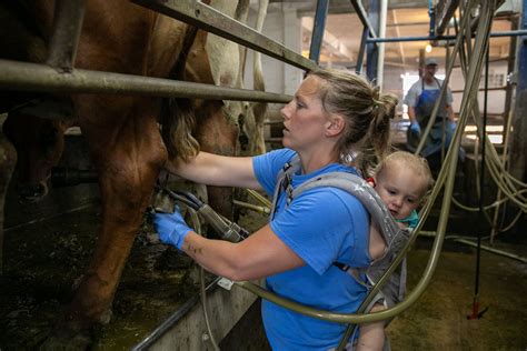 ‘grassland 2 0’ Seeks To Transform Upper Midwest Agriculture Through Perennial Grasslands