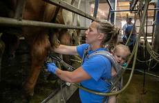 grassland milking cow perennial meagan grasslands seeks pasture parlor farrell aims belleville